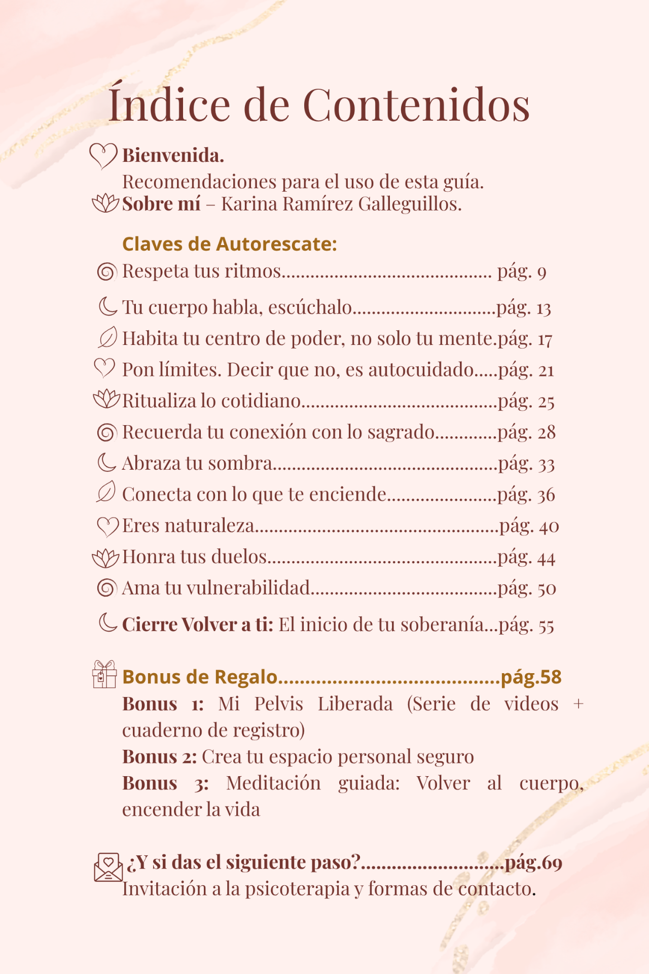 Índice de contenidos de la guía